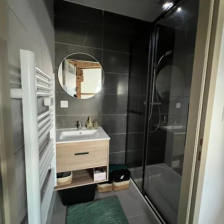 App T2 Proche De La Gare 503 サン・テティエンヌ